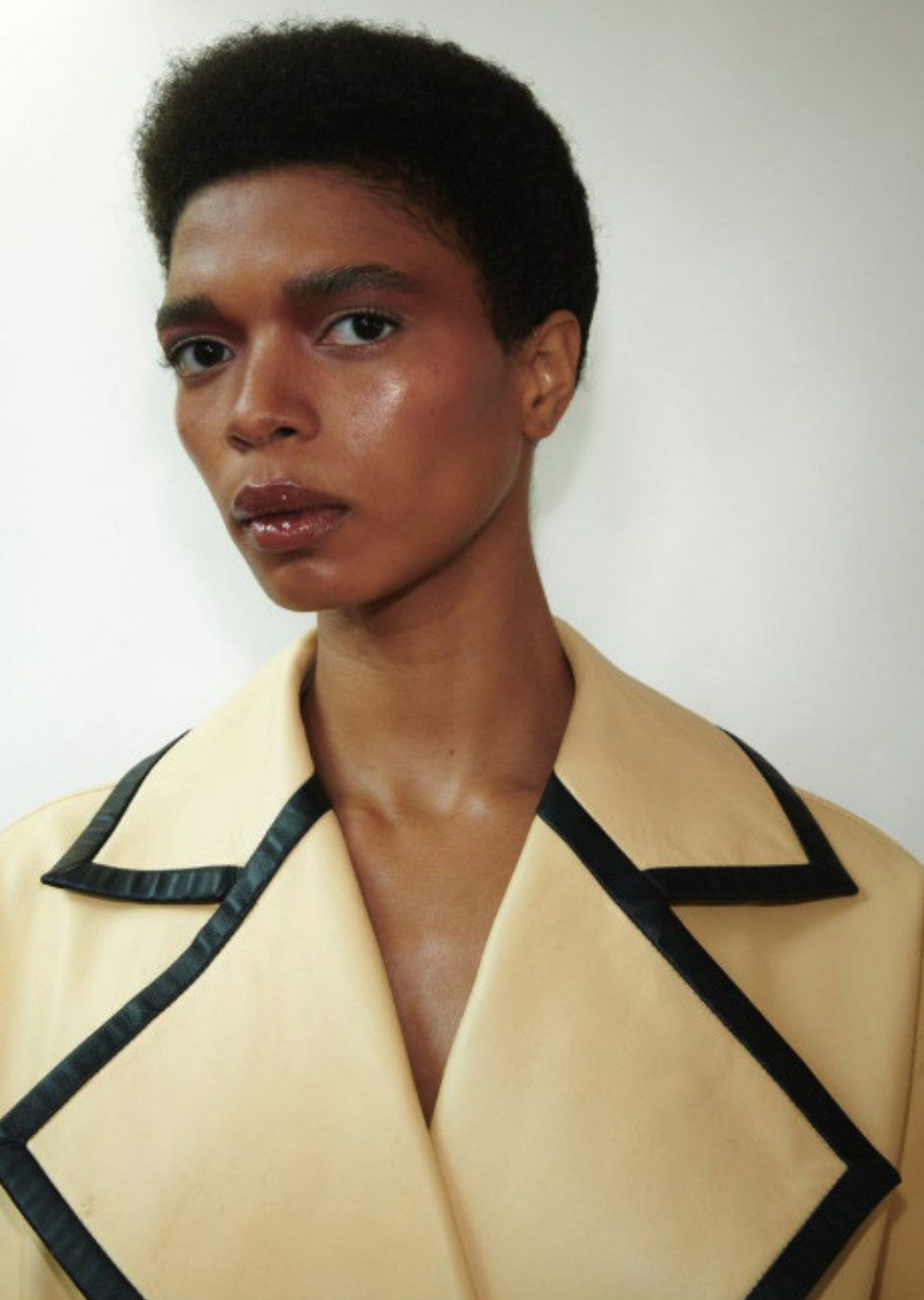 Model Image