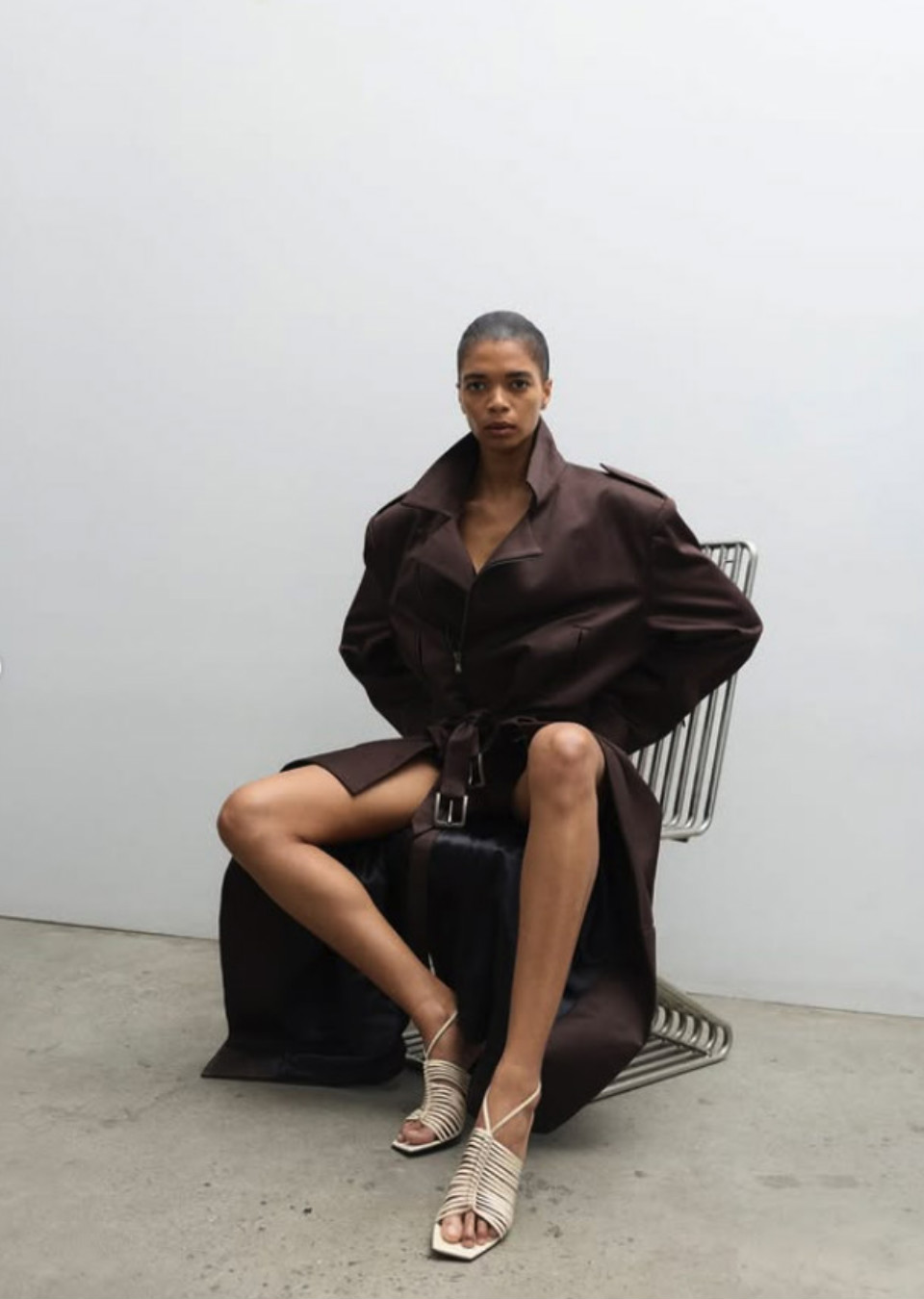 Model Image