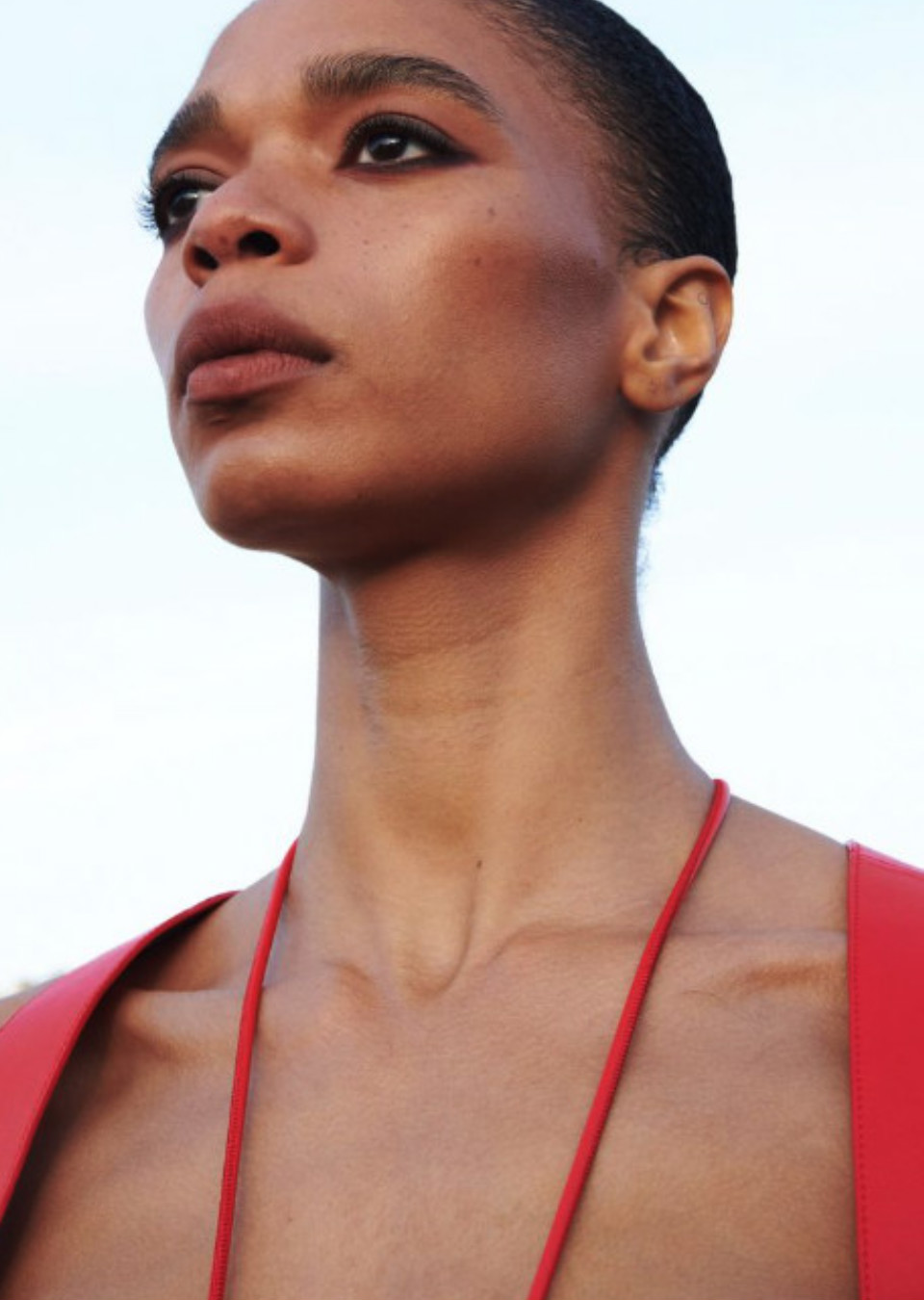 Model Image
