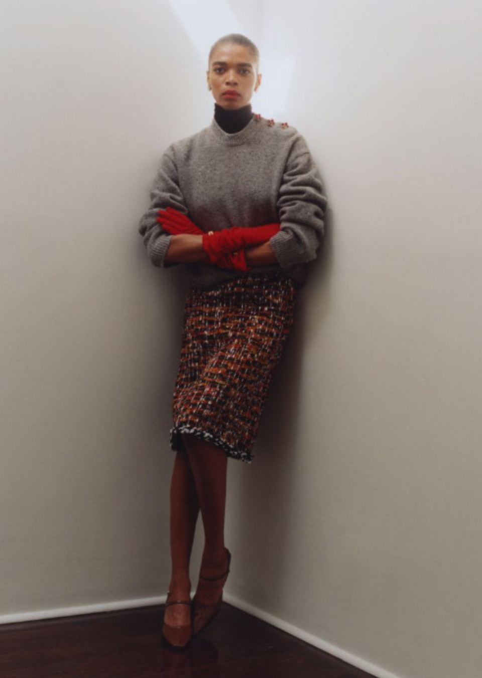 Model Image