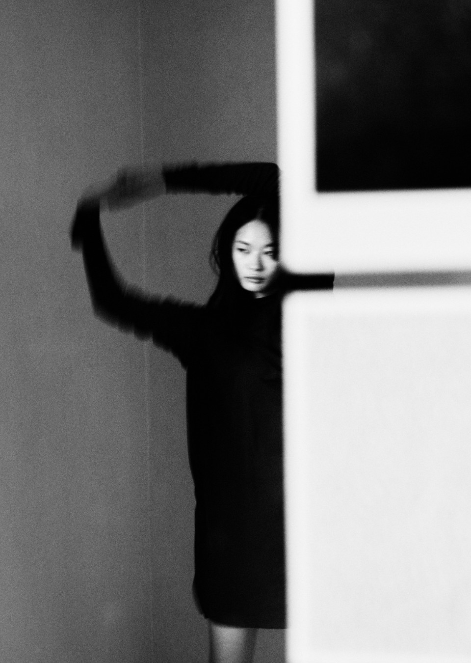 Model Image