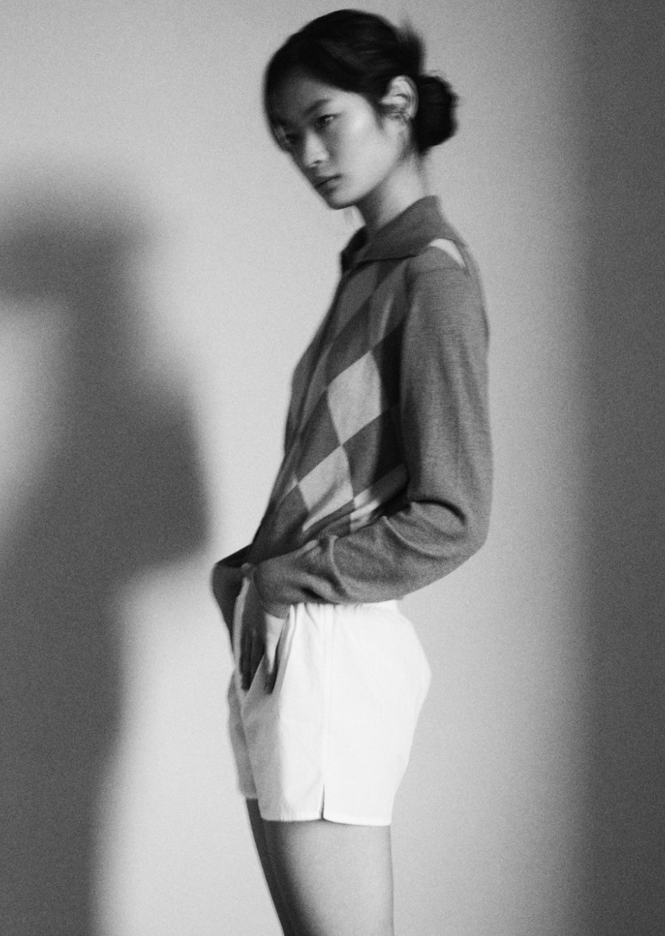 Model Image
