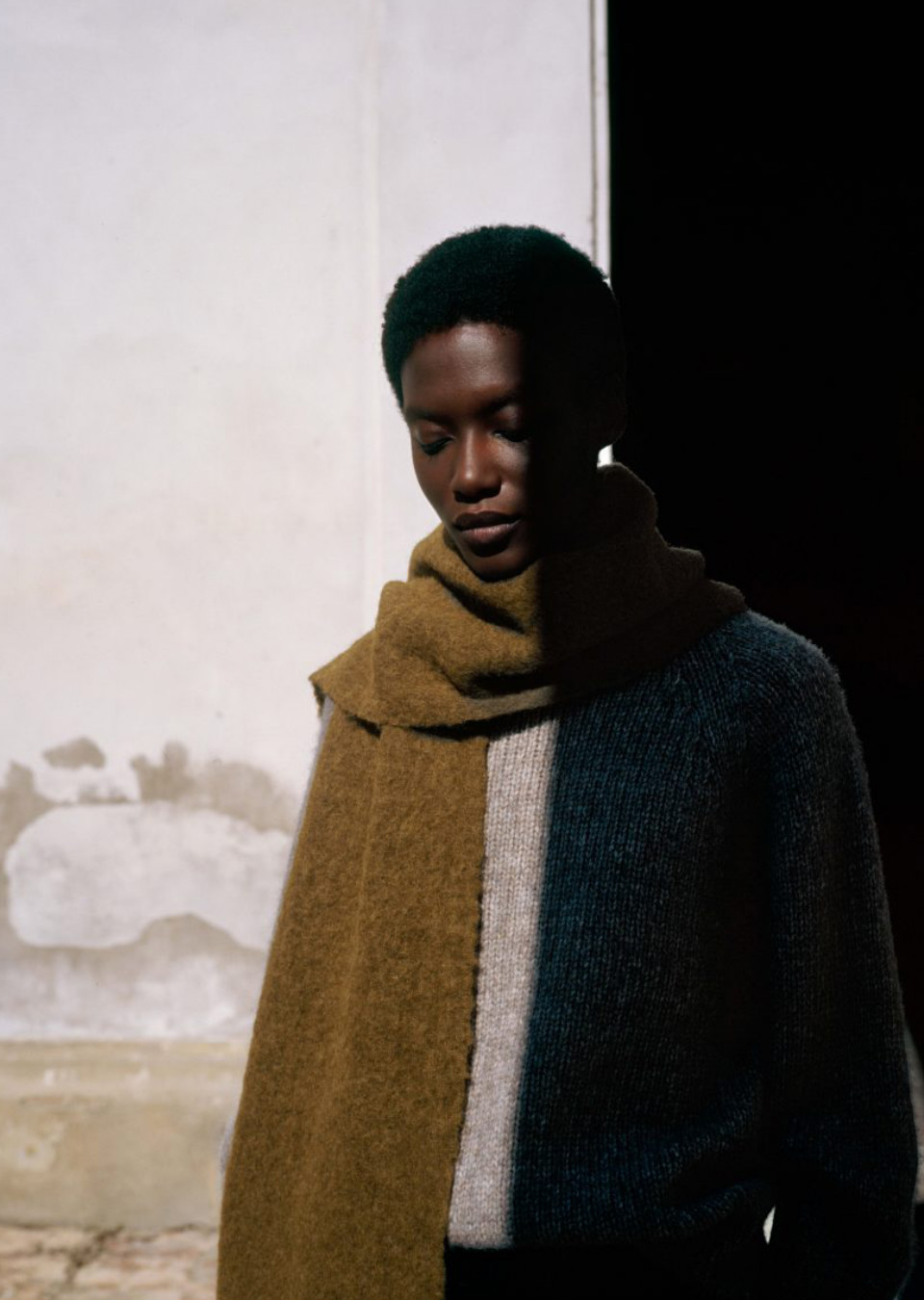 Model Image