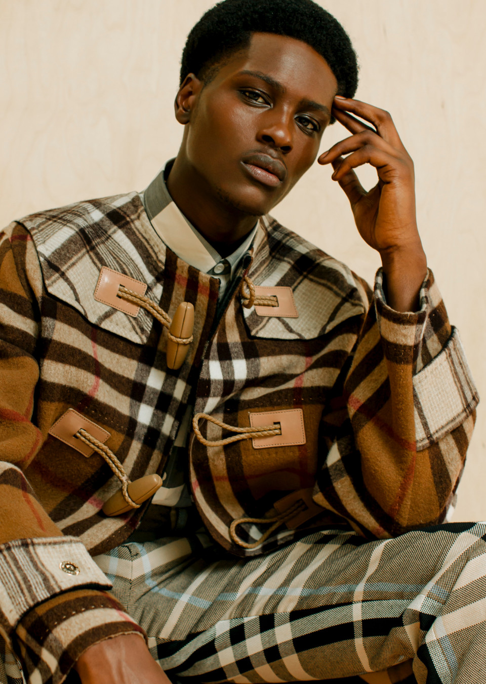 Model Image