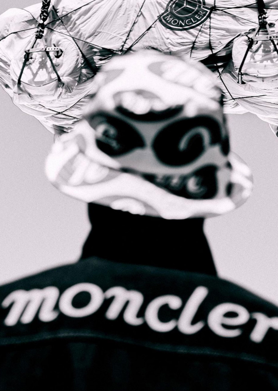 Model Image
