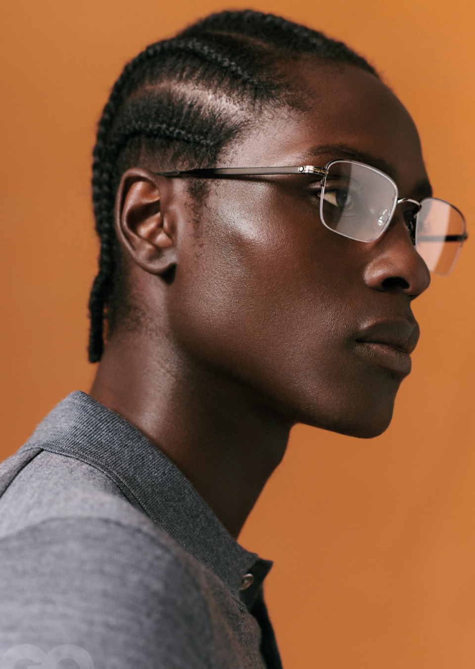 Model Image