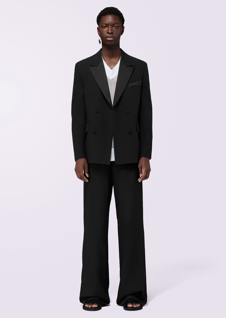 Model Image